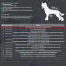 размерная сетка ForMyDogs размерная сетка ForMyDogs